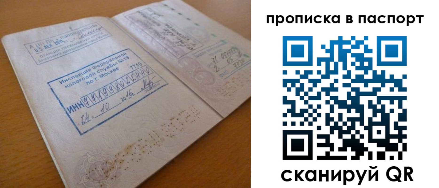 купить прописку в Мурманской области